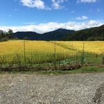 四季の郷志むら - 