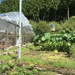 四季の郷志むら - 