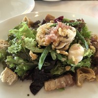 Benoit Alain Ducasse - 