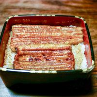 明神下 神田川 本店 - ☆うな重 5289円