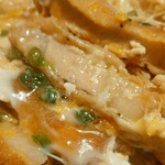 アルバトロス - 