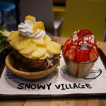 SNOWY VILLAGE - 