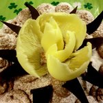 パティスリーメリクリ - 2011　ショコラ5号