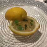 コシモ・プリュス - 