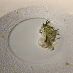 コシモ・プリュス - 