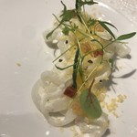 コシモ・プリュス - 