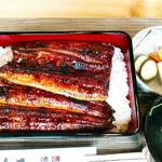 Machida Unagi Ryuuboku - 上うな重　３６００円(税別)