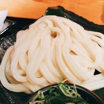 雅楽 - うどん