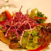 Ristorante IL FIGO INGORDO - 