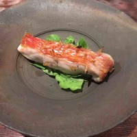 茶寮 宮坂 - 