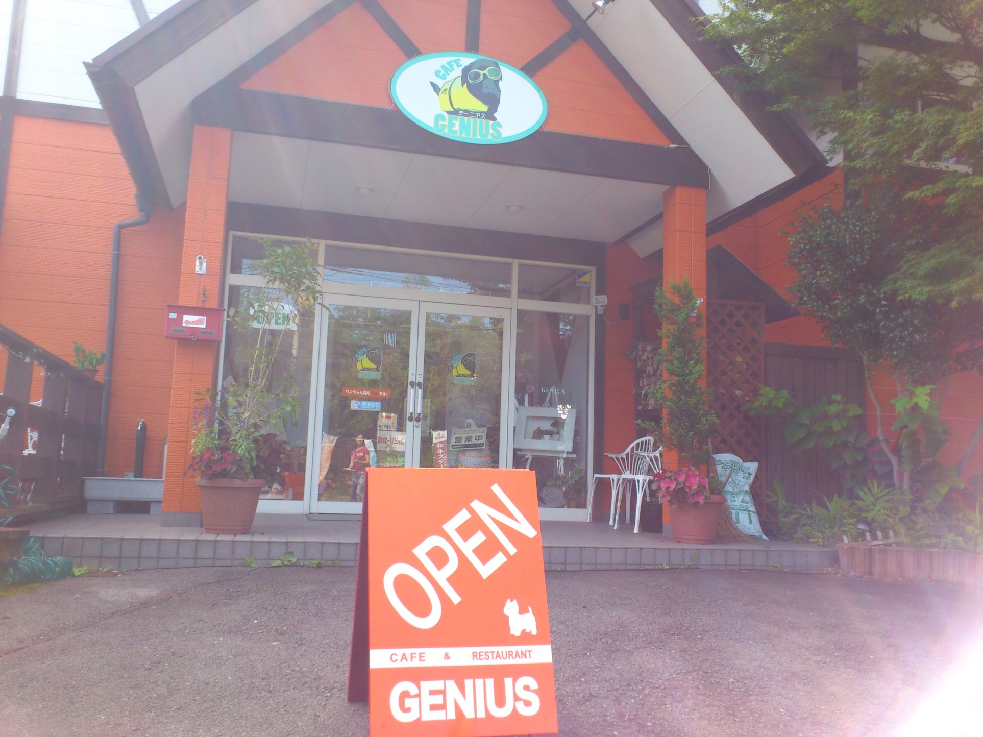 CAFE GENIUS name=