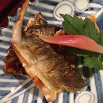 御懐石 志ら玉 - 