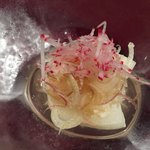 御懐石 志ら玉 - 