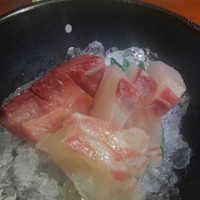 銀平 北新地店 - 