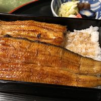 うなぎ秋本 - 共水うなぎ(5600円)