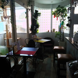 にゃん ころりん_2