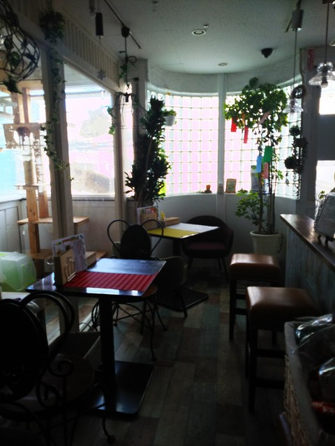 にゃん ころりん （Nyan coloring） - 出屋敷/カフェ | 食べログ