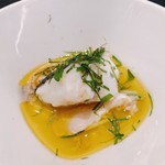 SALONE 2007 - 2018.9.  Filosofia/哲学 鮮魚・タコ・ハマグリ