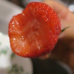 乳頭温泉郷 妙乃湯 - 水菓子喰らう