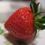 乳頭温泉郷 妙乃湯 - 水菓子喰らう