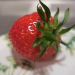 乳頭温泉郷 妙乃湯 - 水菓子喰らう