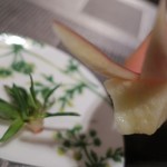 乳頭温泉郷 妙乃湯 - 水菓子喰らう