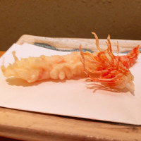 北野坂 螢 - 