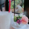 ミュージアムカフェ ミュージアムカフェ