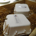 コシモ・プリュス - 