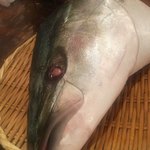 魚がし酒場 魚せん 広岡店 - 
