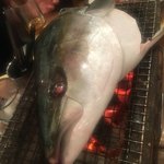 魚がし酒場 魚せん 広岡店 - 