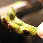 ハマチョウ - 焼枝豆