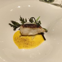 フォーシーズン - 