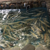河太郎 中洲本店 - 