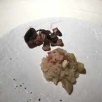 ヤマガタ サンダンデロ - 