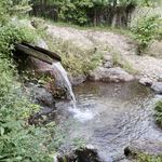 洋食 つばき - 湧き水がたっぷり流れてます