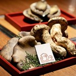 THE 雪月花 - 松茸