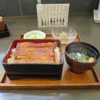 鰻 若松 - うな重松（4,400円）