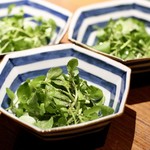 THE 雪月花 - クレソンのサラダ