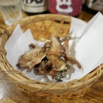 ビストロ割烹 YAOYA - 