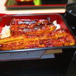 Unagi Hikuma - 