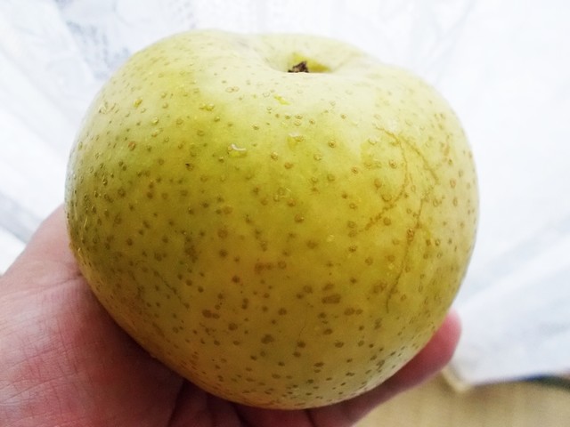 八右衛門 - 南鳥海（その他）の写真