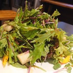 東京Aランク 肉の29しま - 赤水菜のサラダ