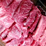 Yakiniku No Shirakawa - 肉盛り合わせ