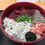 Domburi Koubou - 三色丼