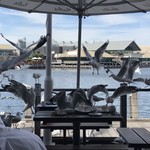 Kailis Fish Market Cafe - 