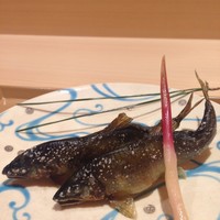 料理 小松 - 