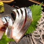 旬酔基じ - 美しい〜(,,>᎑<,,)