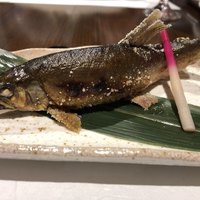 柳家錦 - 