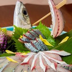 【限定1天5餐!】惠比壽青花魚活刺身